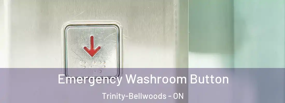  Emergency Washroom Button Trinity-Bellwoods - ON