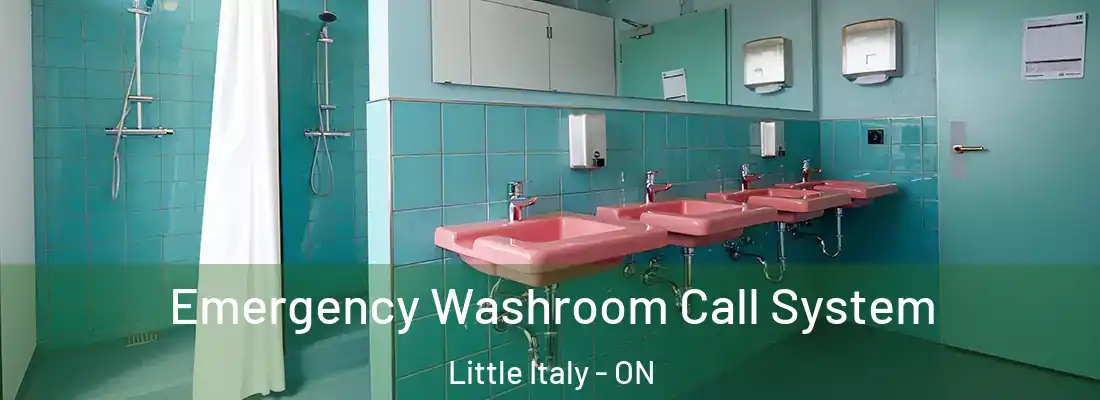  Emergency Washroom Call System Little Italy - ON