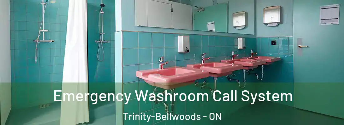  Emergency Washroom Call System Trinity-Bellwoods - ON