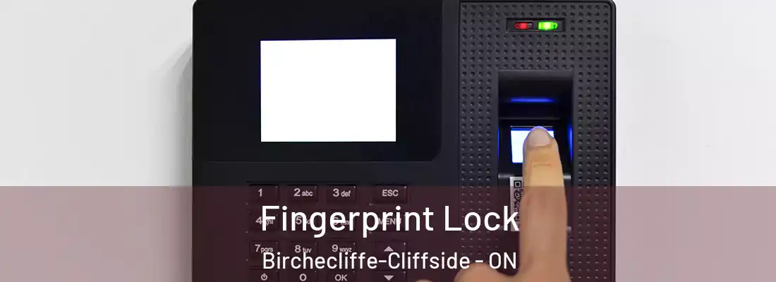  Fingerprint Lock Birchecliffe-Cliffside - ON