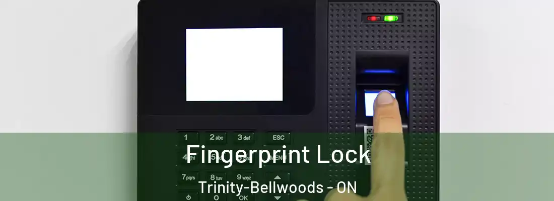  Fingerprint Lock Trinity-Bellwoods - ON