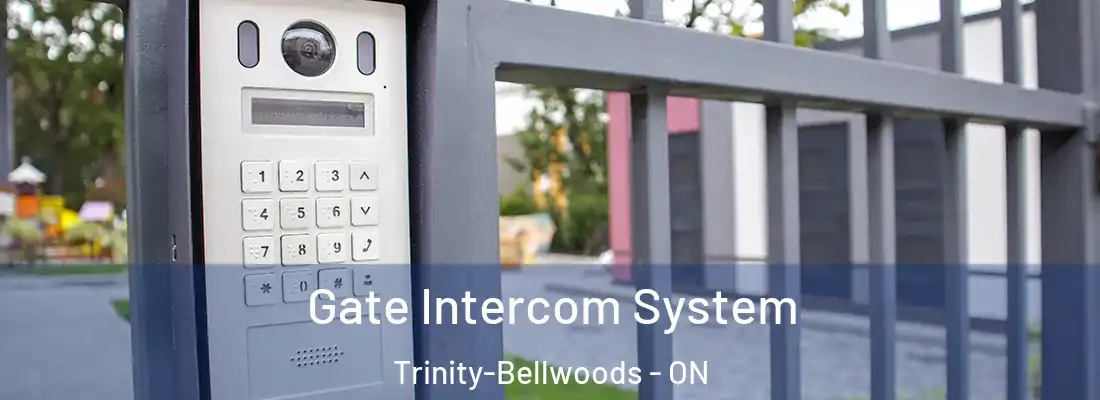  Gate Intercom System Trinity-Bellwoods - ON
