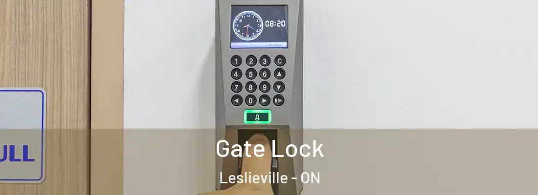  Gate Lock Leslieville - ON
