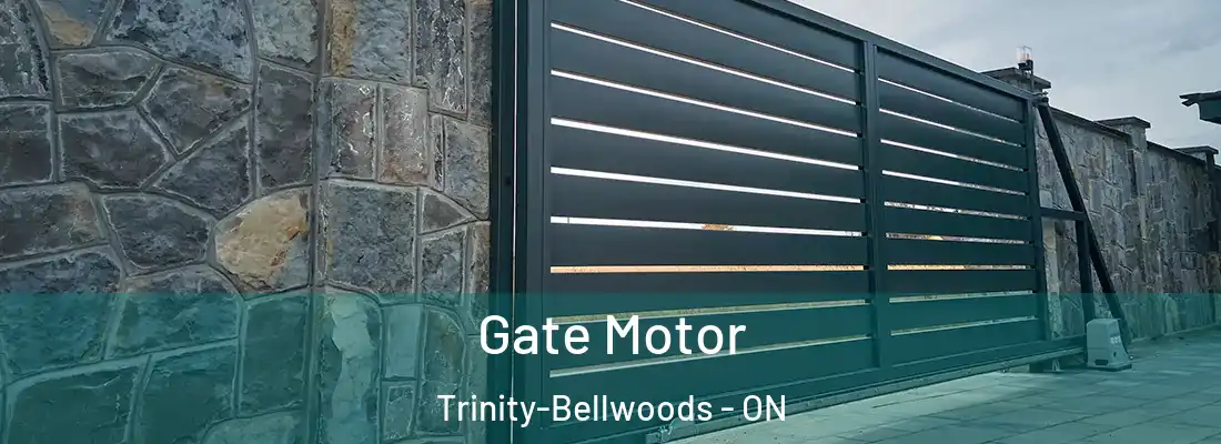  Gate Motor Trinity-Bellwoods - ON
