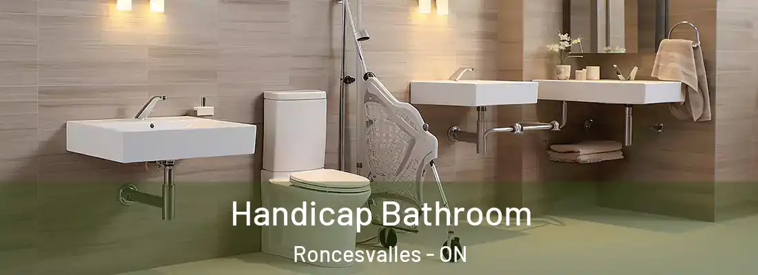  Handicap Bathroom Roncesvalles - ON