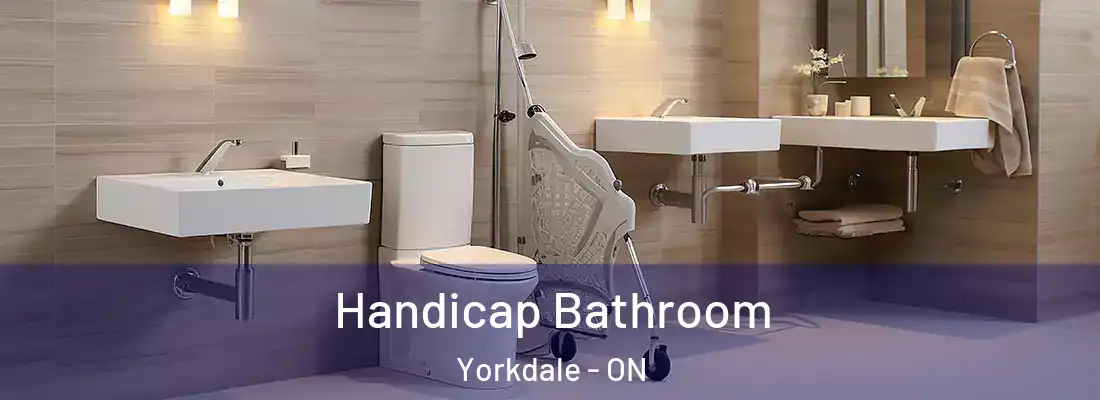  Handicap Bathroom Yorkdale - ON
