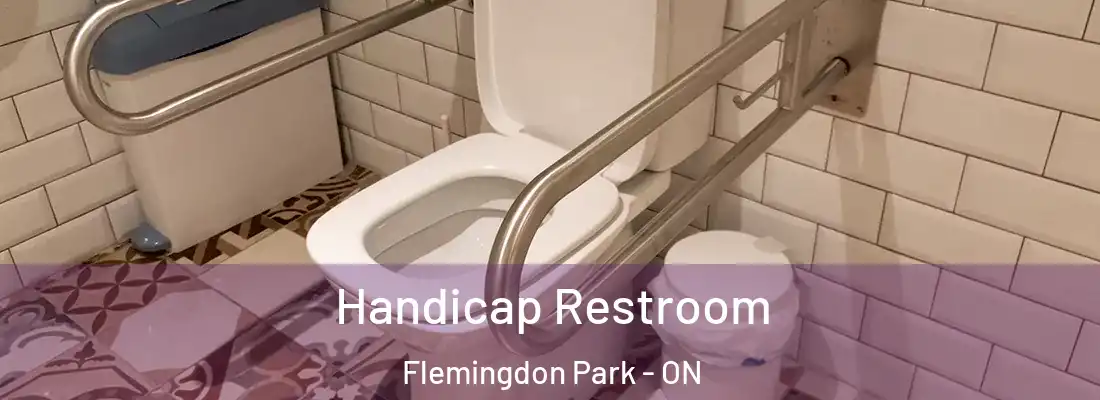  Handicap Restroom Flemingdon Park - ON