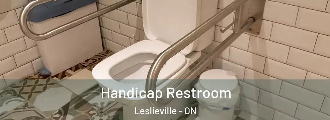  Handicap Restroom Leslieville - ON