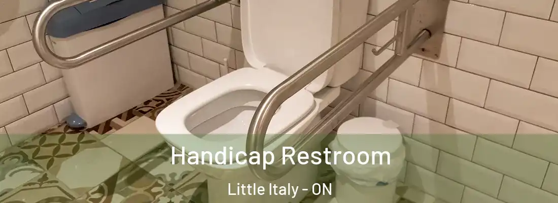  Handicap Restroom Little Italy - ON