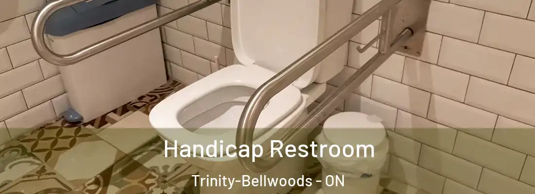  Handicap Restroom Trinity-Bellwoods - ON