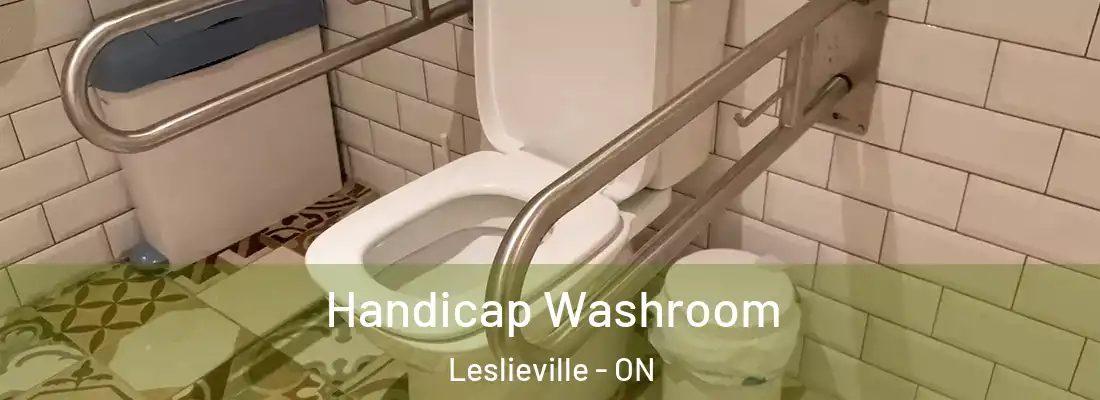  Handicap Washroom Leslieville - ON