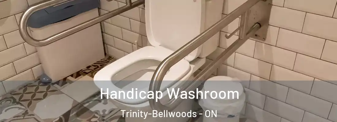  Handicap Washroom Trinity-Bellwoods - ON
