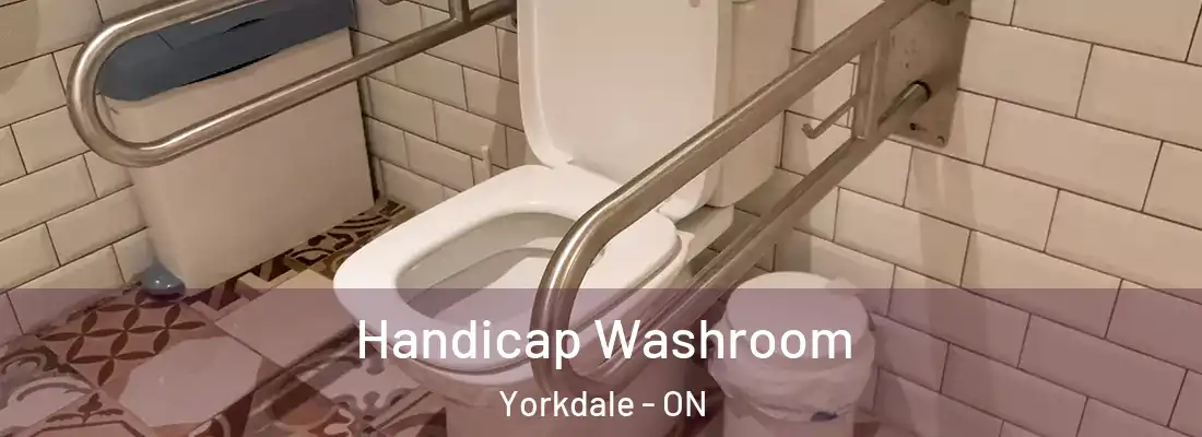  Handicap Washroom Yorkdale - ON