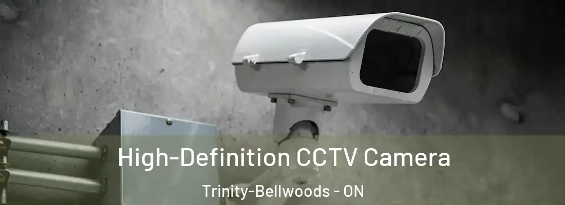  High-Definition CCTV Camera Trinity-Bellwoods - ON