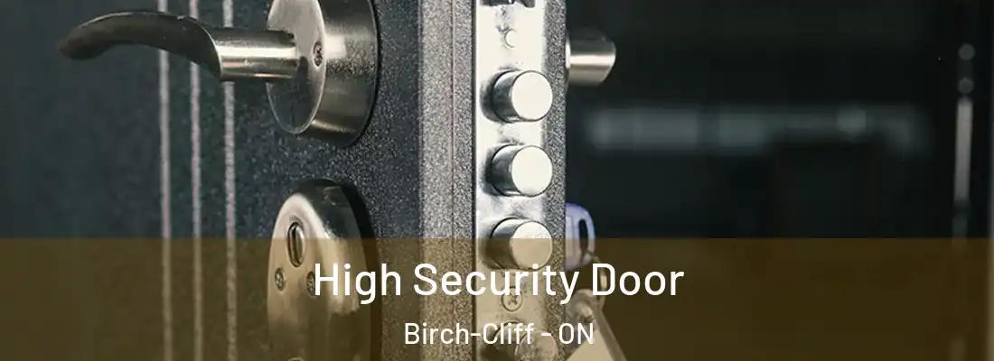  High Security Door Birch-Cliff - ON