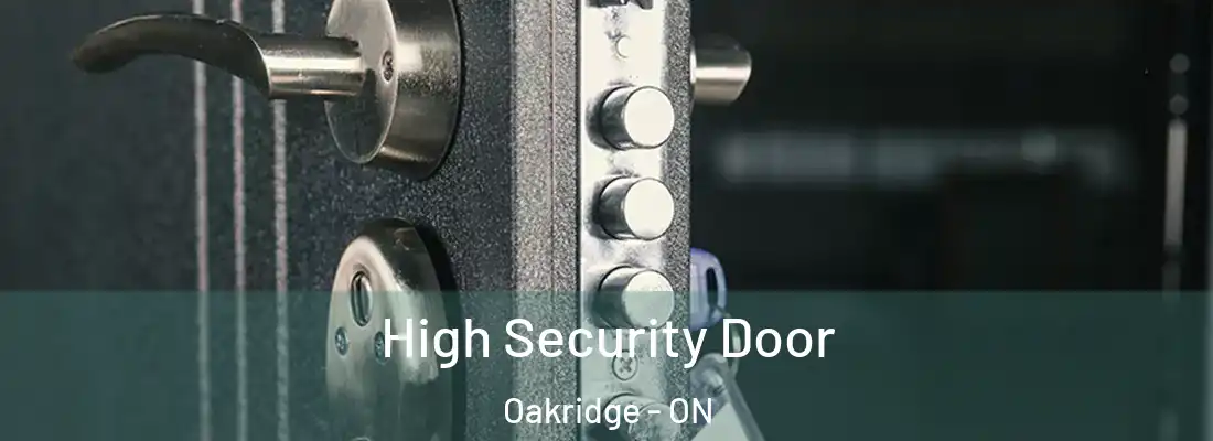  High Security Door Oakridge - ON