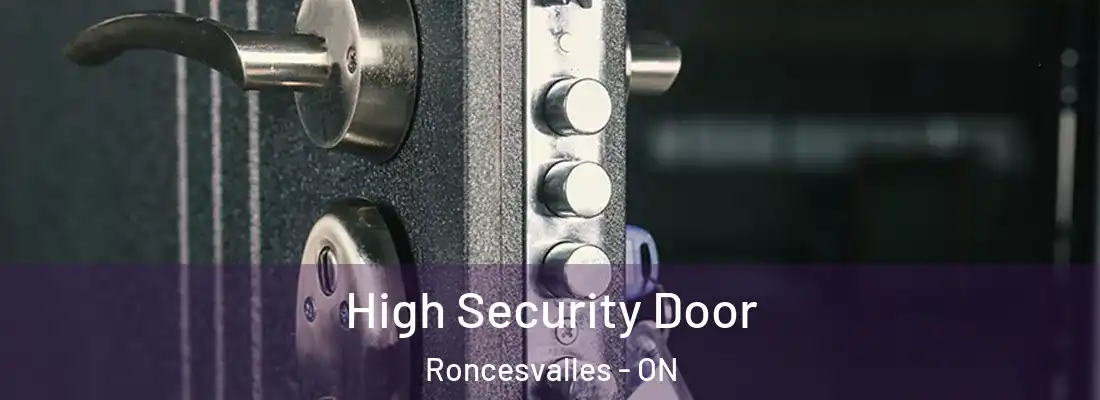  High Security Door Roncesvalles - ON