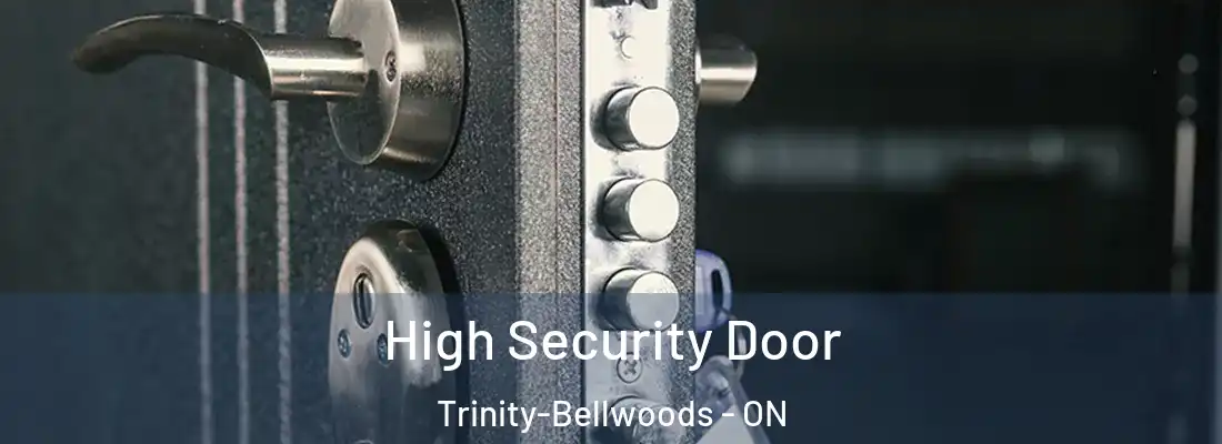  High Security Door Trinity-Bellwoods - ON