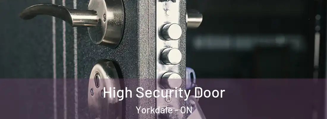  High Security Door Yorkdale - ON