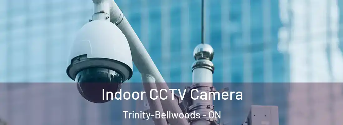  Indoor CCTV Camera Trinity-Bellwoods - ON
