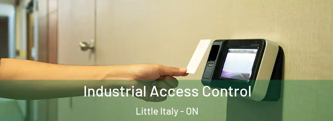  Industrial Access Control Little Italy - ON