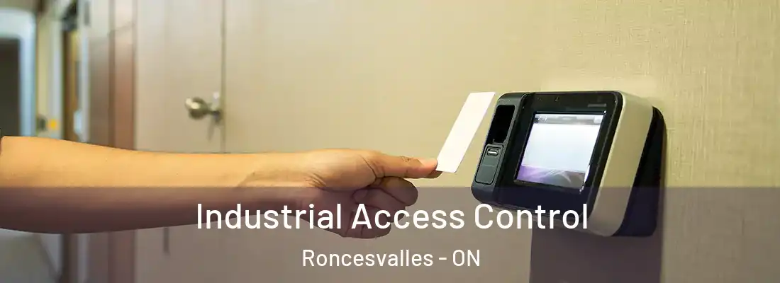  Industrial Access Control Roncesvalles - ON