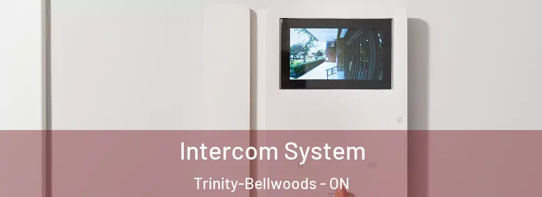  Intercom System Trinity-Bellwoods - ON