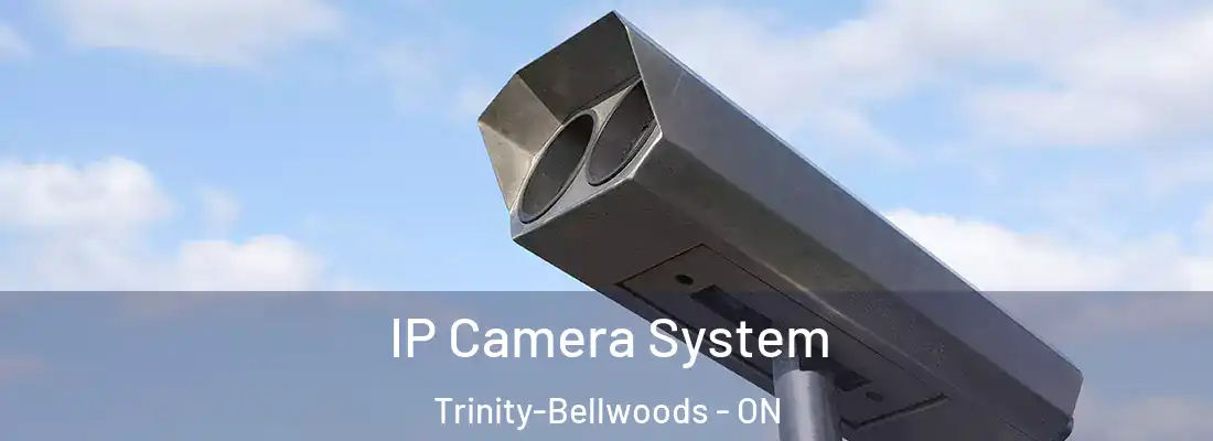  IP Camera System Trinity-Bellwoods - ON