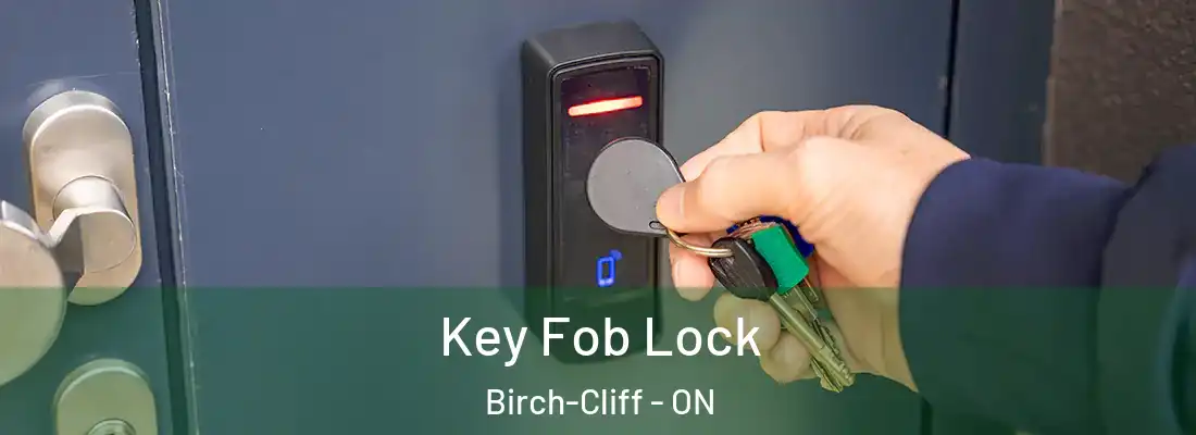  Key Fob Lock Birch-Cliff - ON