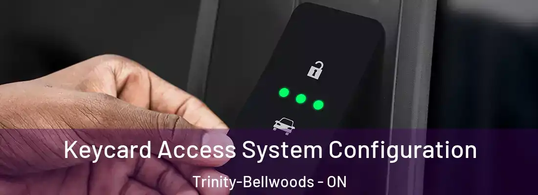  Keycard Access System Configuration Trinity-Bellwoods - ON