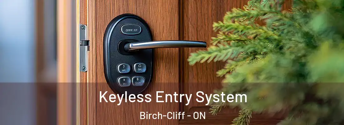  Keyless Entry System Birch-Cliff - ON