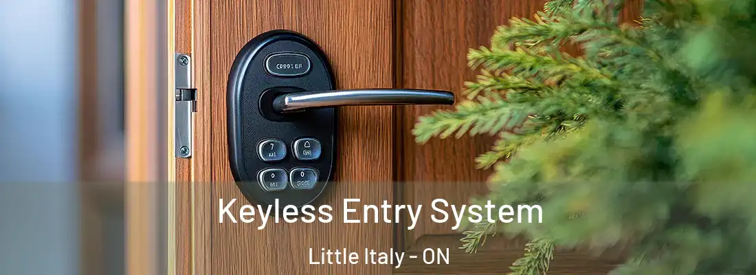  Keyless Entry System Little Italy - ON