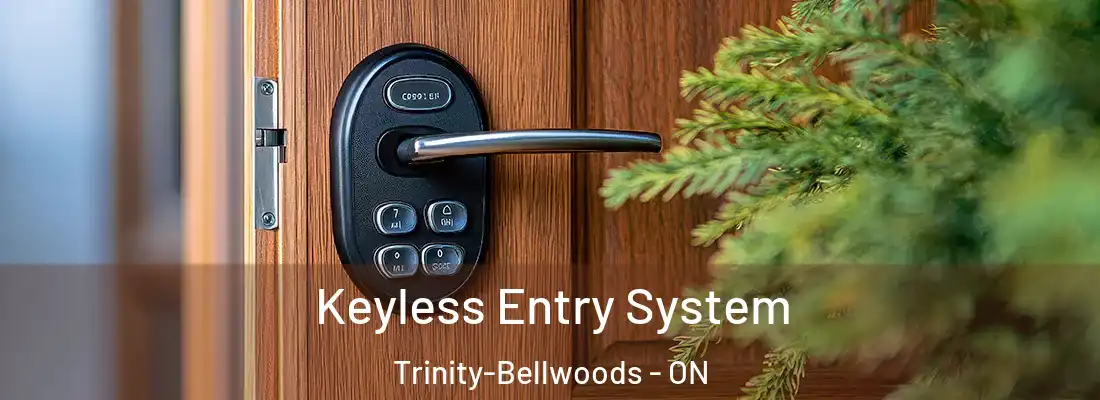  Keyless Entry System Trinity-Bellwoods - ON