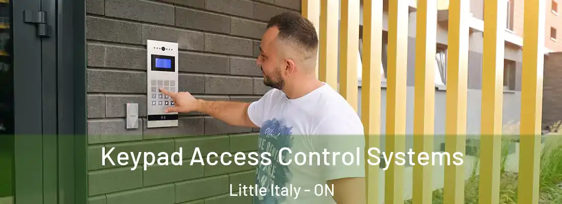  Keypad Access Control Systems Little Italy - ON