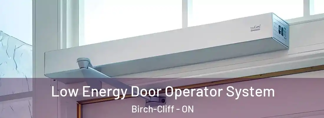  Low Energy Door Operator System Birch-Cliff - ON