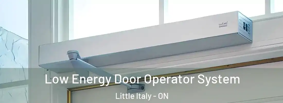  Low Energy Door Operator System Little Italy - ON