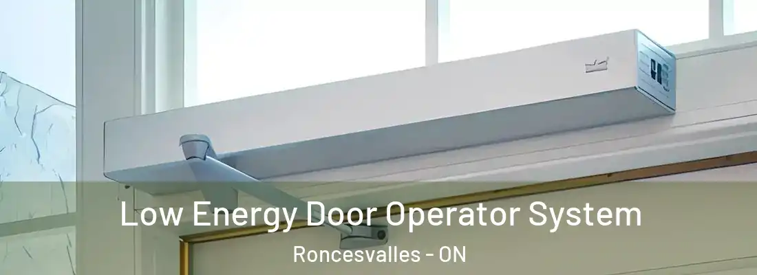 Low Energy Door Operator System Roncesvalles - ON