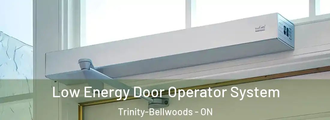  Low Energy Door Operator System Trinity-Bellwoods - ON