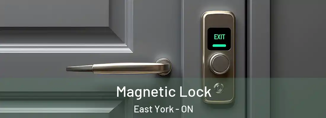 Magnetic Lock East York - ON