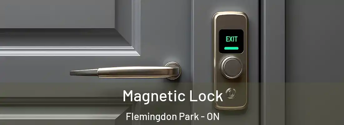  Magnetic Lock Flemingdon Park - ON