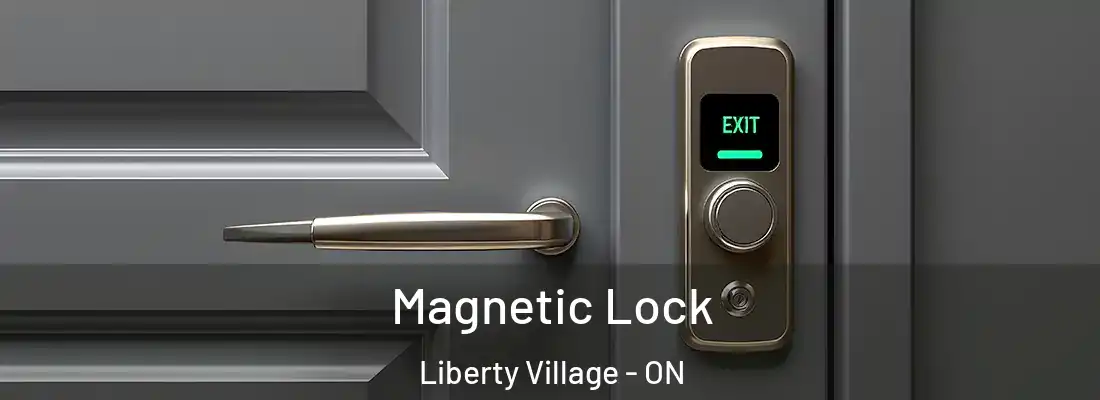  Magnetic Lock Liberty Village - ON