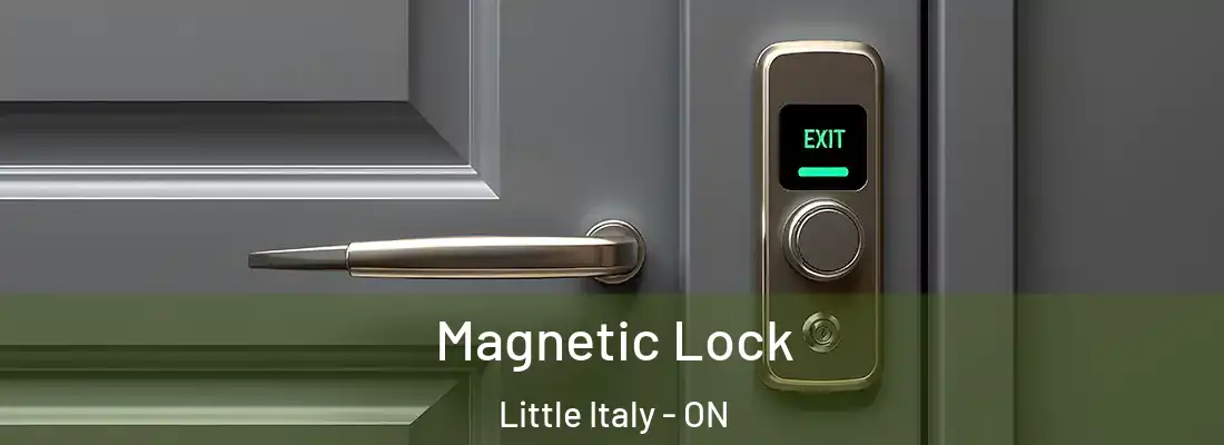  Magnetic Lock Little Italy - ON