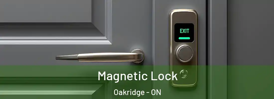  Magnetic Lock Oakridge - ON