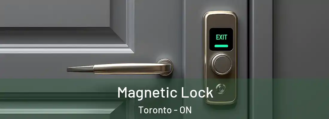  Magnetic Lock Toronto - ON