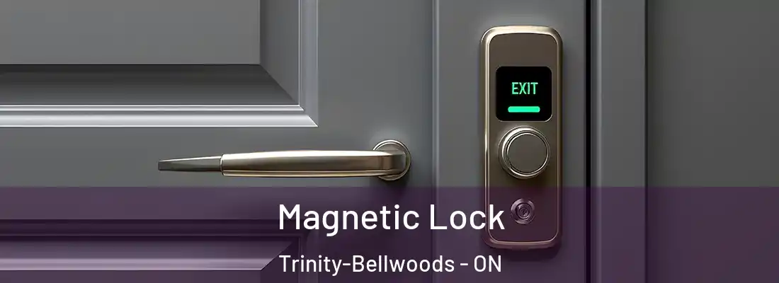  Magnetic Lock Trinity-Bellwoods - ON