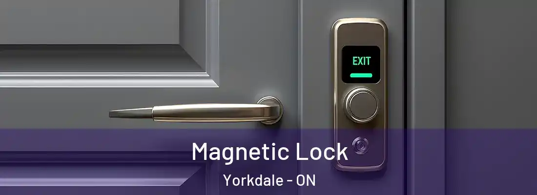  Magnetic Lock Yorkdale - ON