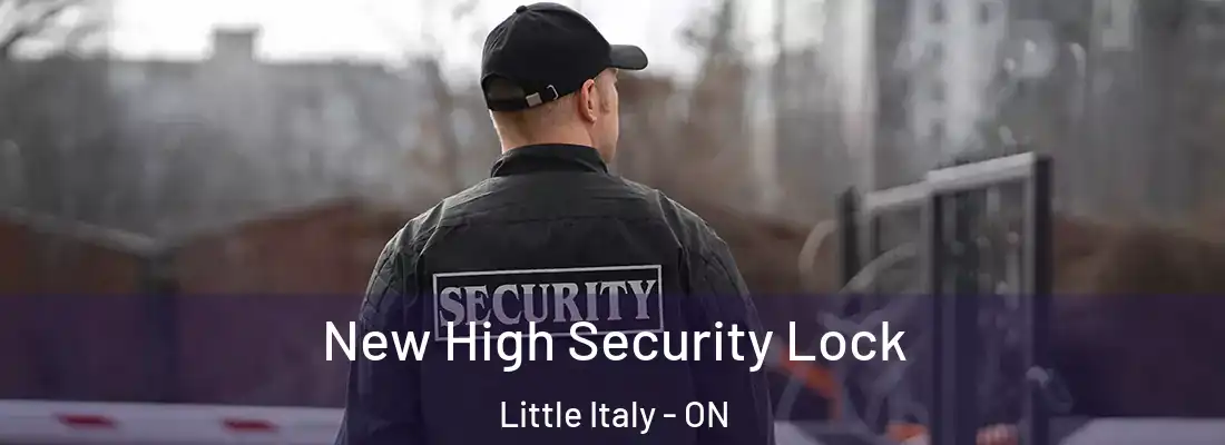  New High Security Lock Little Italy - ON