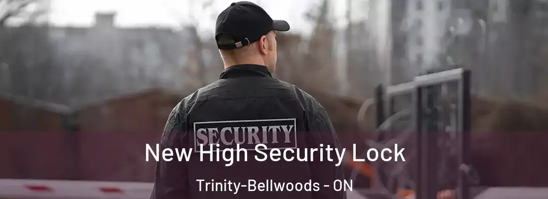 New High Security Lock Trinity-Bellwoods - ON