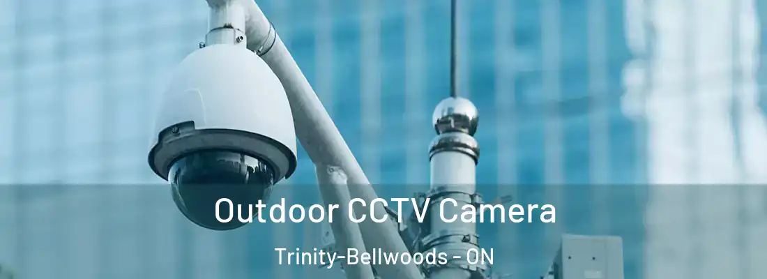  Outdoor CCTV Camera Trinity-Bellwoods - ON
