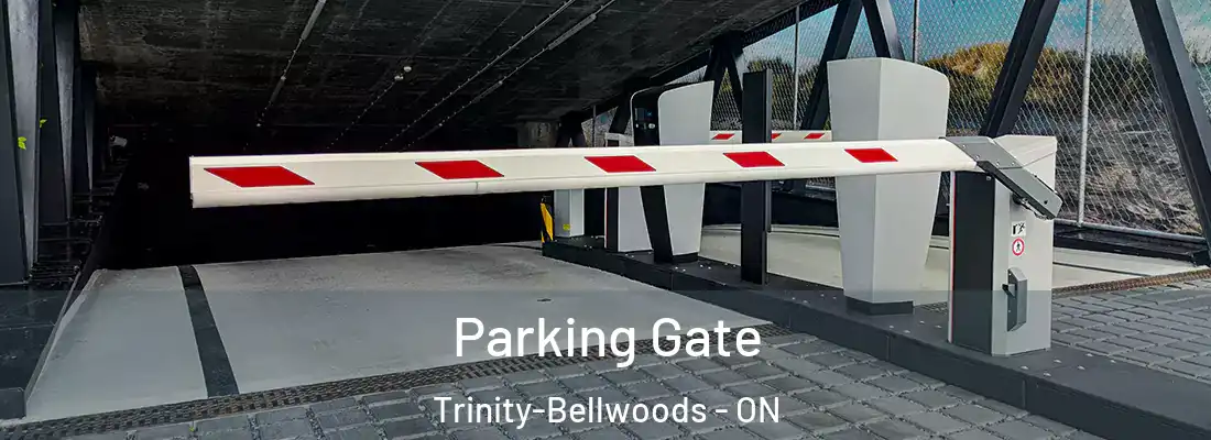  Parking Gate Trinity-Bellwoods - ON